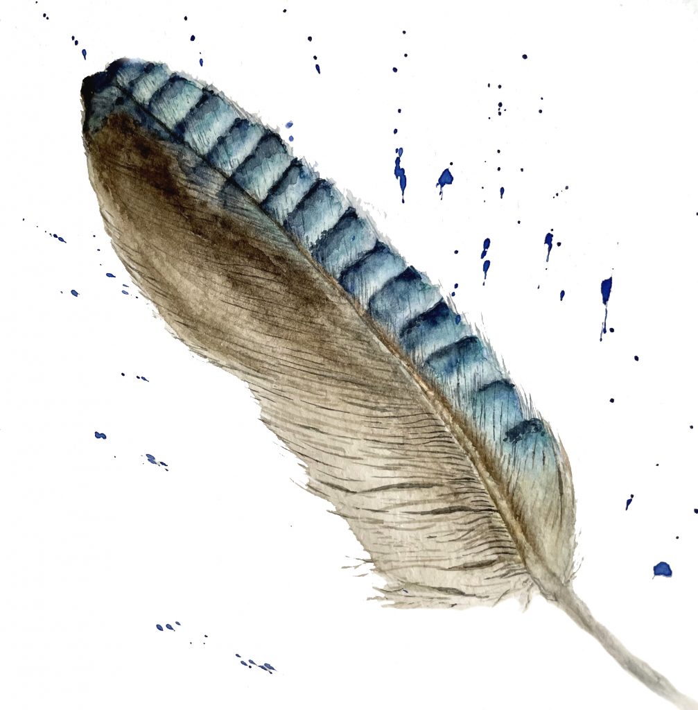 Feder blau beige Aquarell Natur