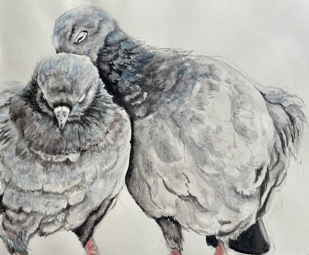 Naturillustration in Aquarell