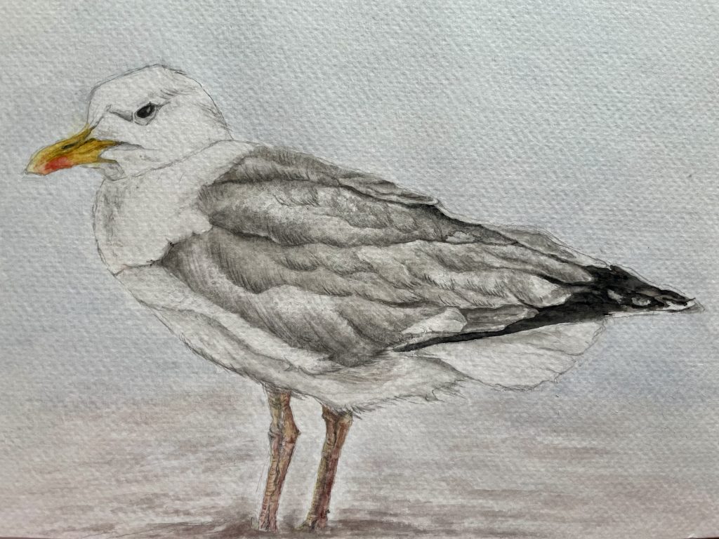 Möve am Strand Aquarell Natur