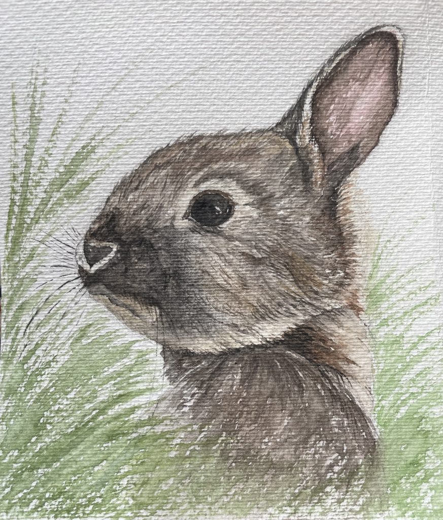 Kaninchen Hase in Wiese Ostern Aquarell Natur