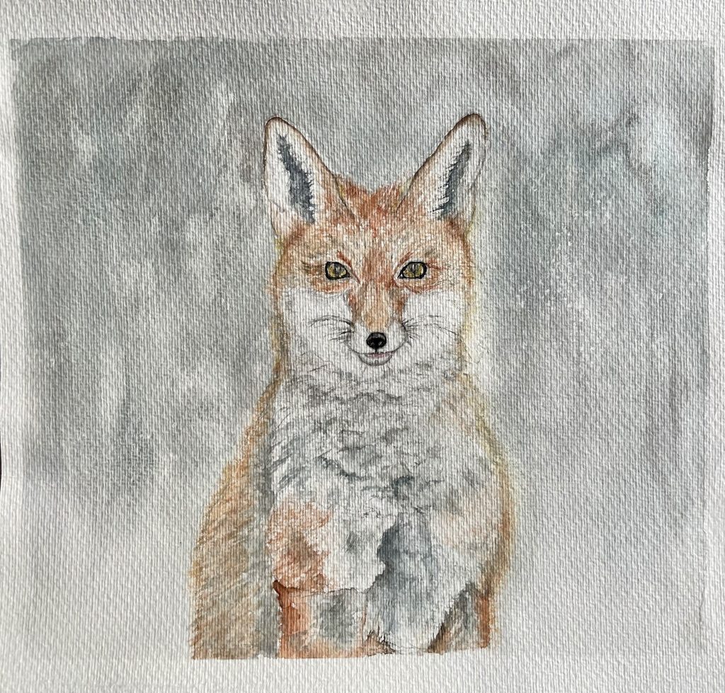 Fuchs Aquarell