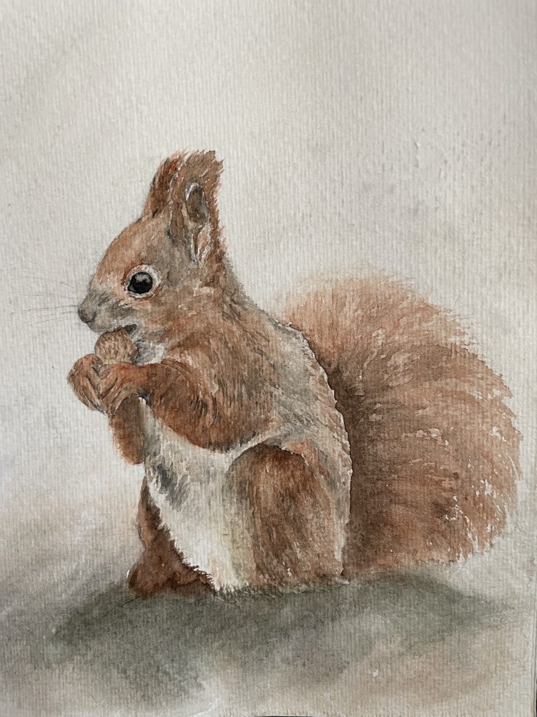 Eichhörnchen Squirrel Aquarell
