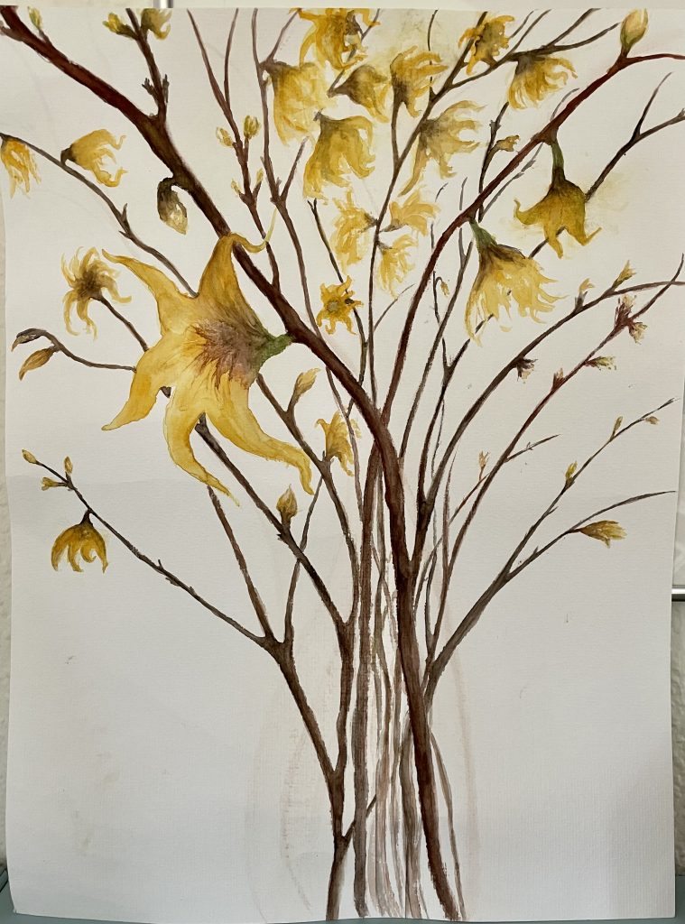 Zaubernuss Äste mit Blüten Aquarell Natur