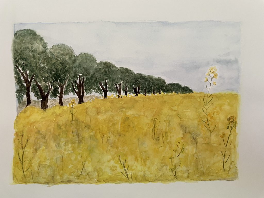 Allee mit gelbem Feld Aquarell Natur