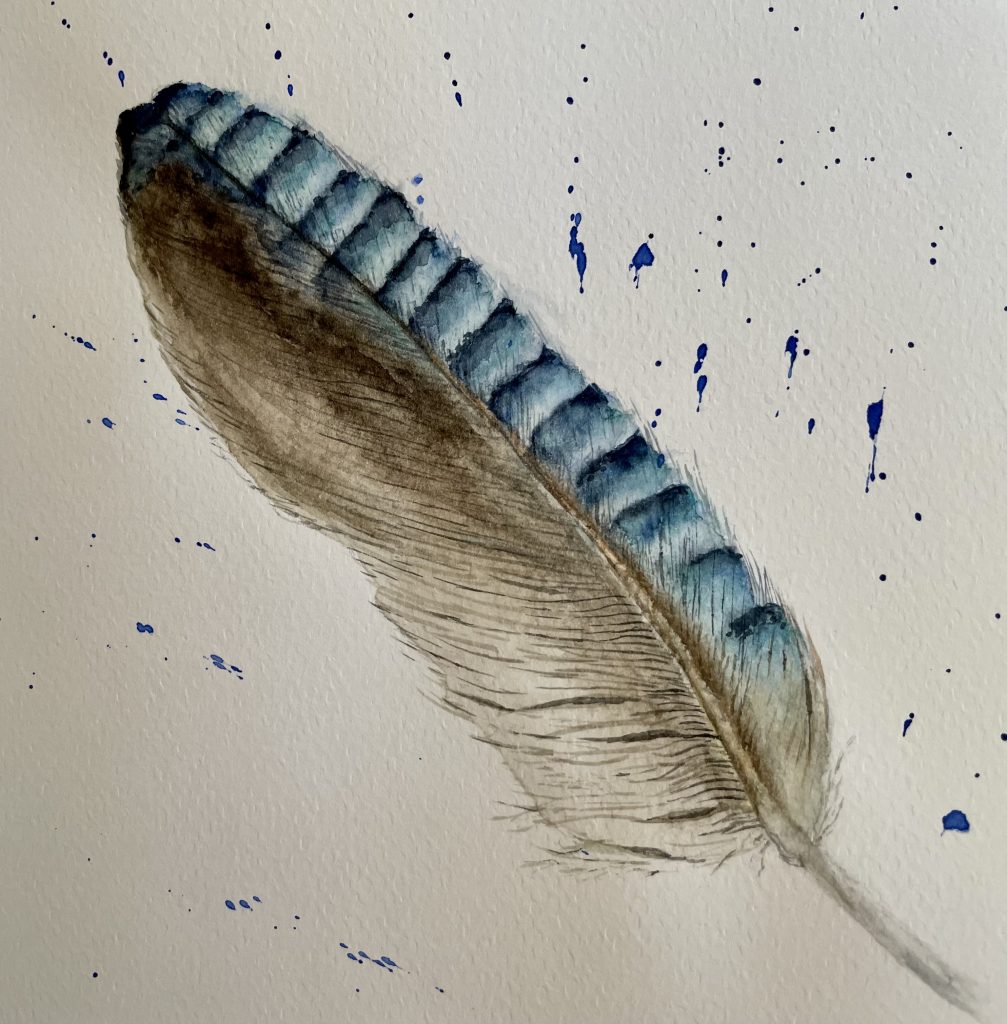 Feder blau creme Taube Aquarell Natur