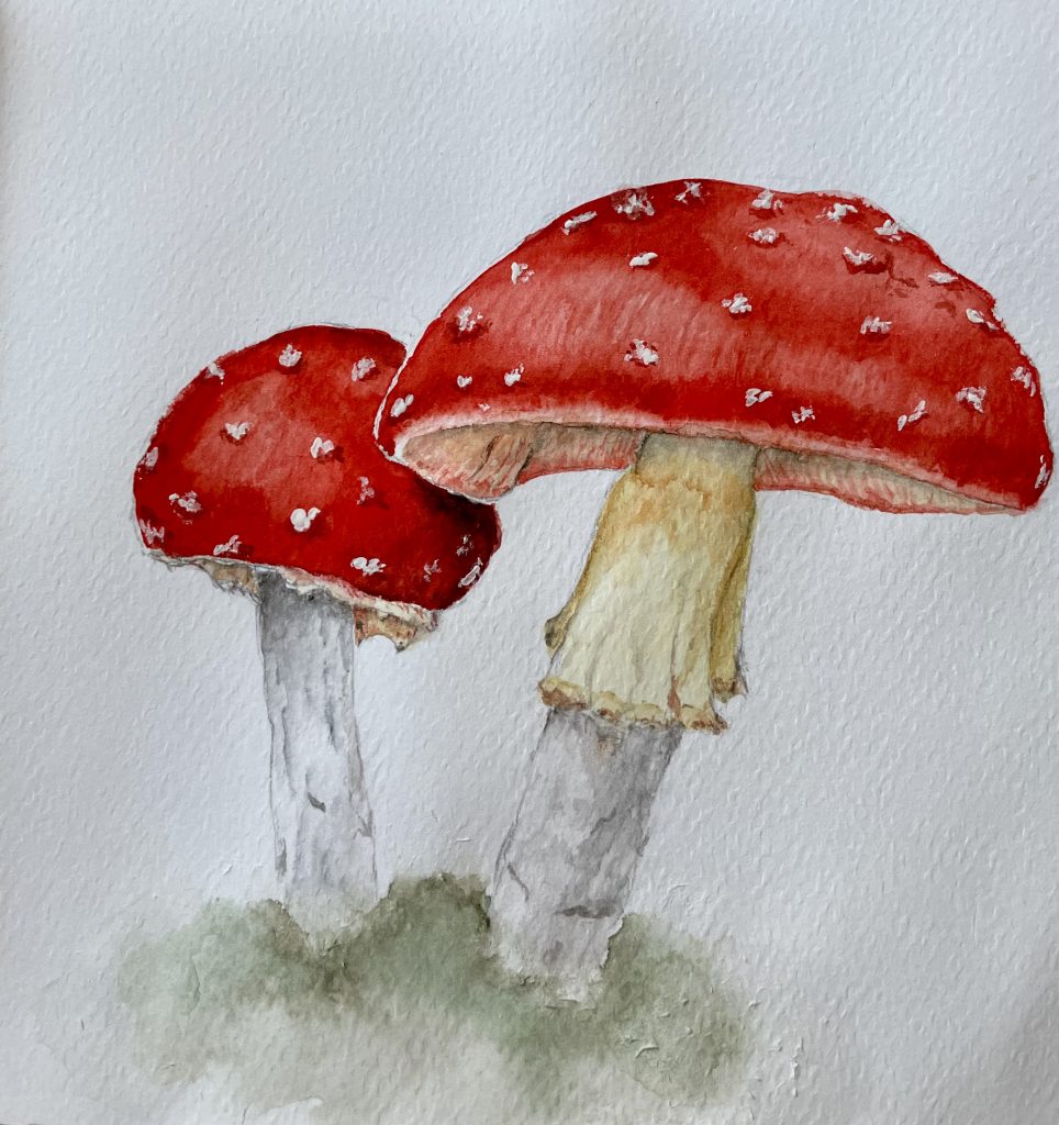 Fliegenpilze Aquarell Natur