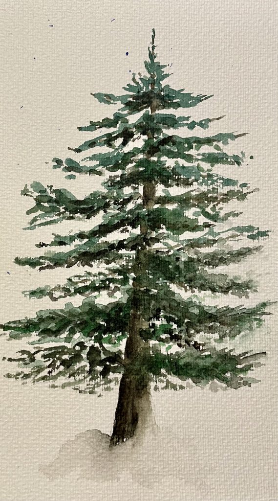 Tannenbaum freistehend Winterlandschaft Aquarell Natur