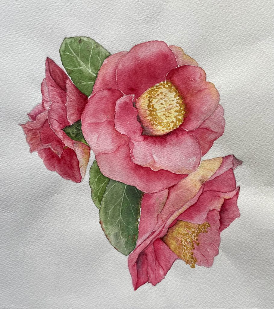 Kamelien Blüten Aquarell Natur