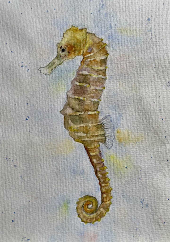 Seepferdchen Aquarell Natur