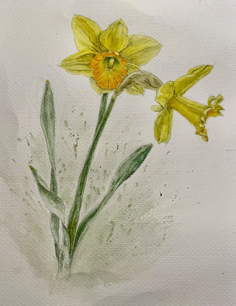 Osterglocken Aquarell Natur