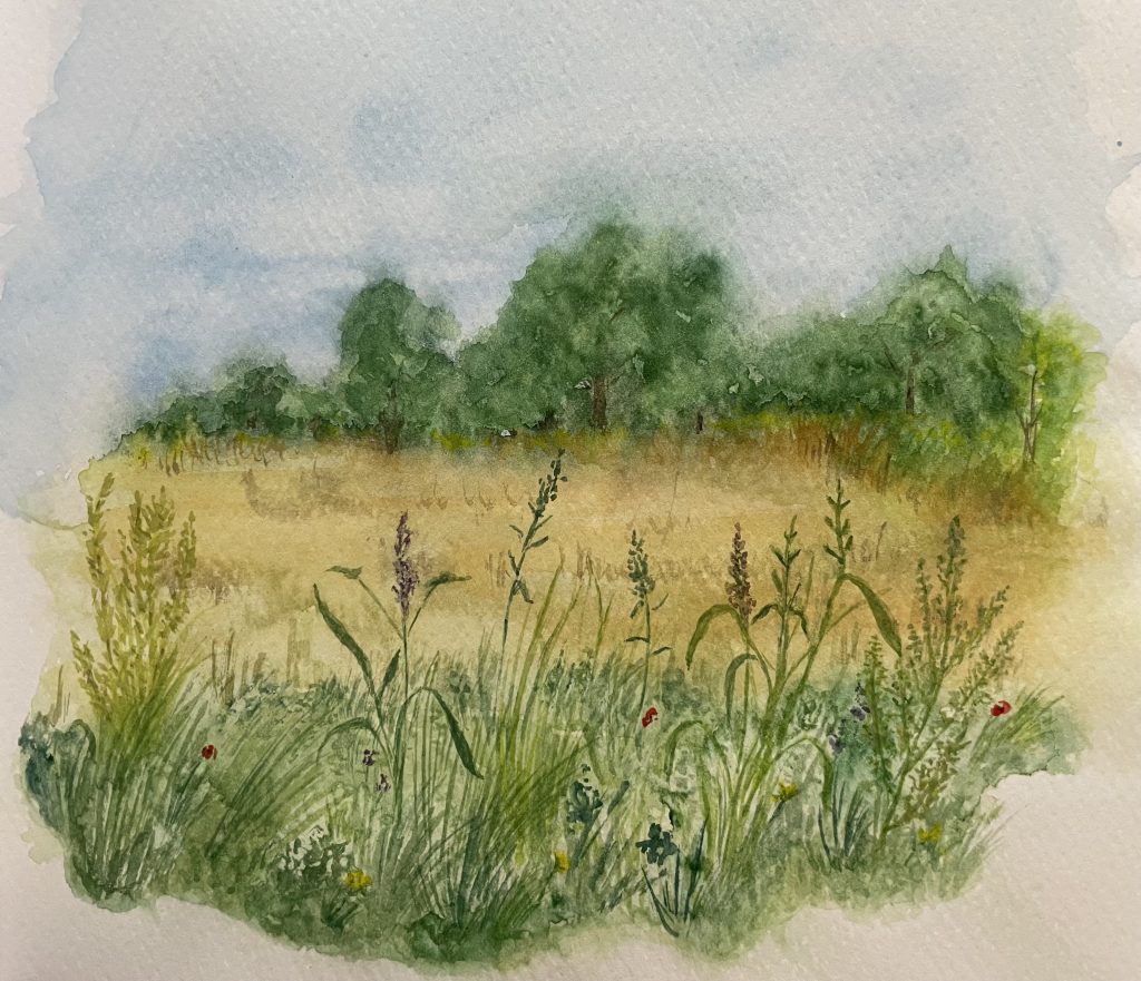 Landschaft Sommer Blumenwiese Aquarell Natur