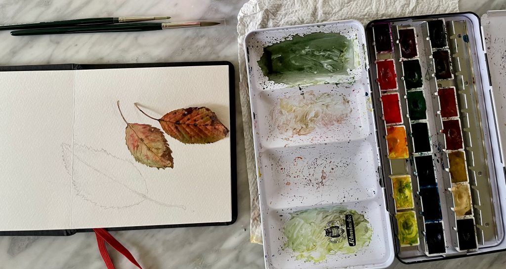 Handwerklich gefertigte Aquarelle & Naturillustrationen