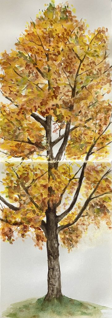 Baum im Herbst Aquarell Natur