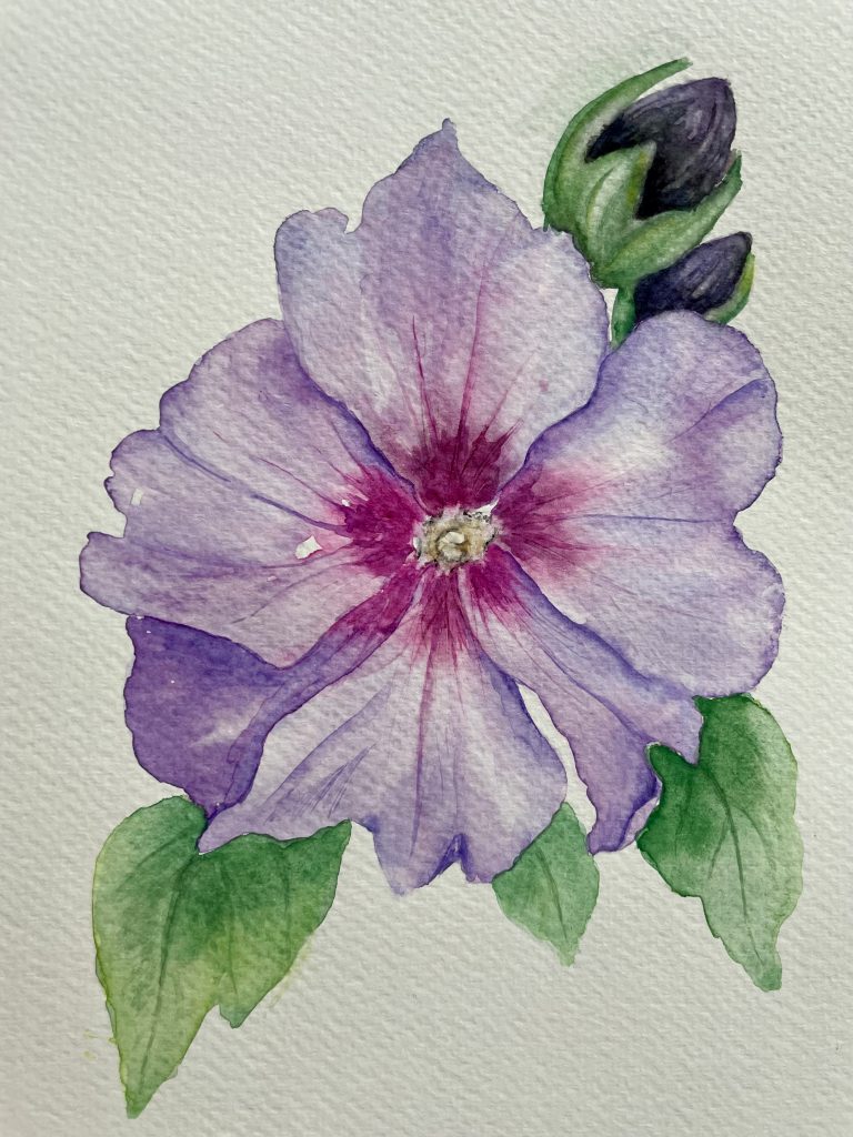 Hibiskus Blüte Aquarell Natur