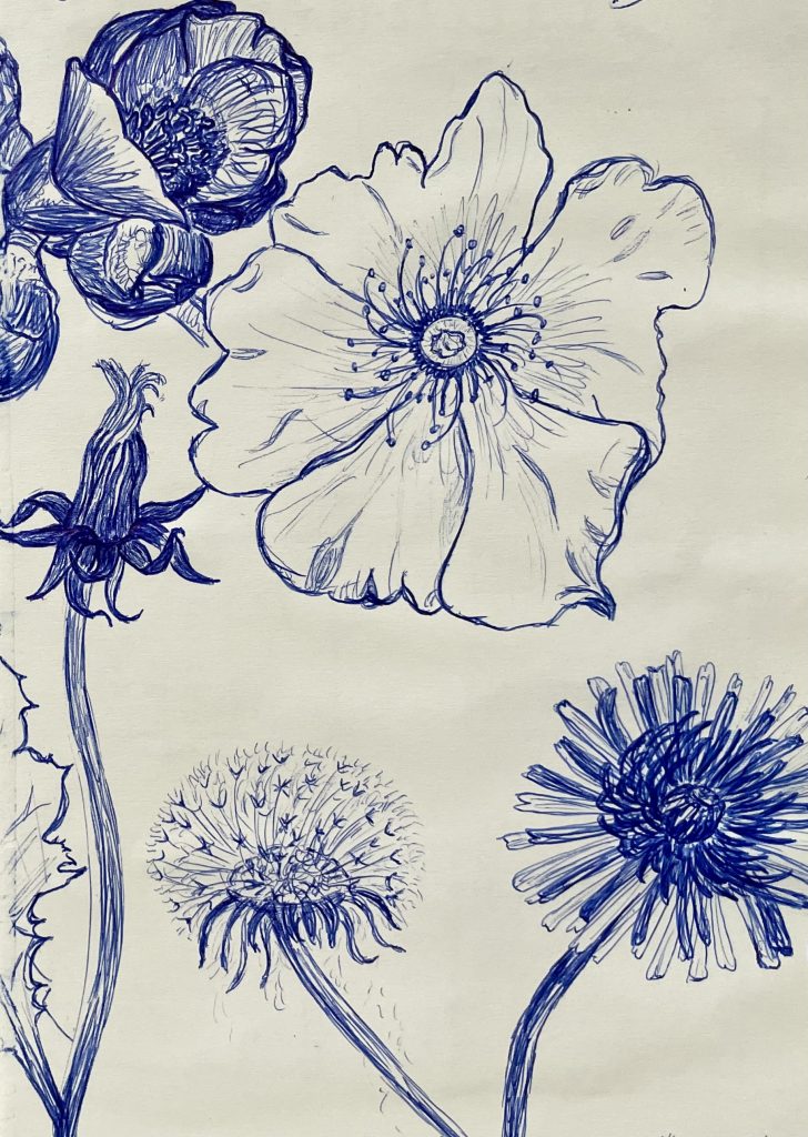 Blüten mit Kuli Zeichnung