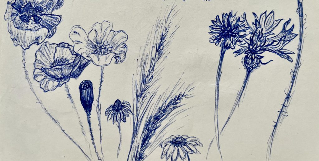 Kuli-Zeichnung Pflanzen