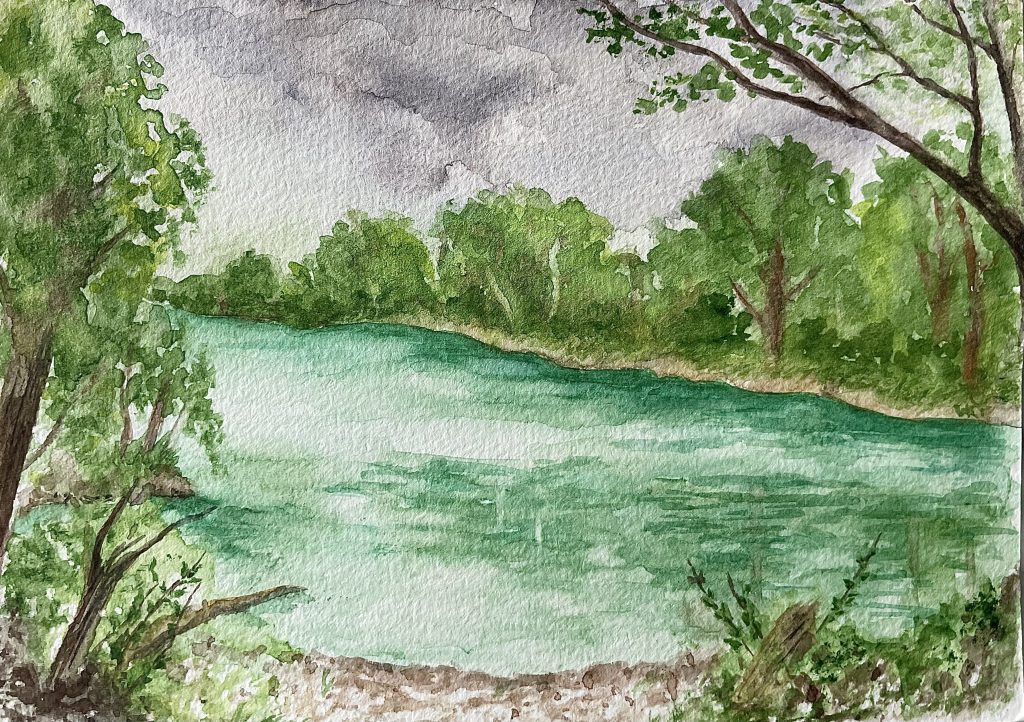 Naturillustration in Aquarell