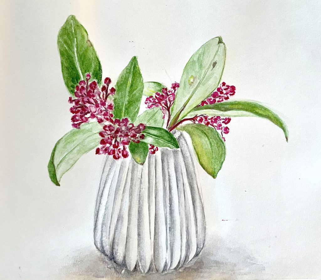 Naturillustration in Aquarell