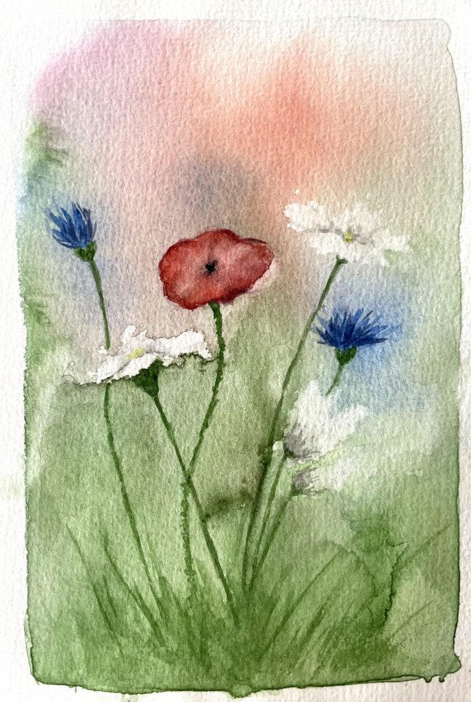 Feldblumen Mohn und Kornblume Aquarell