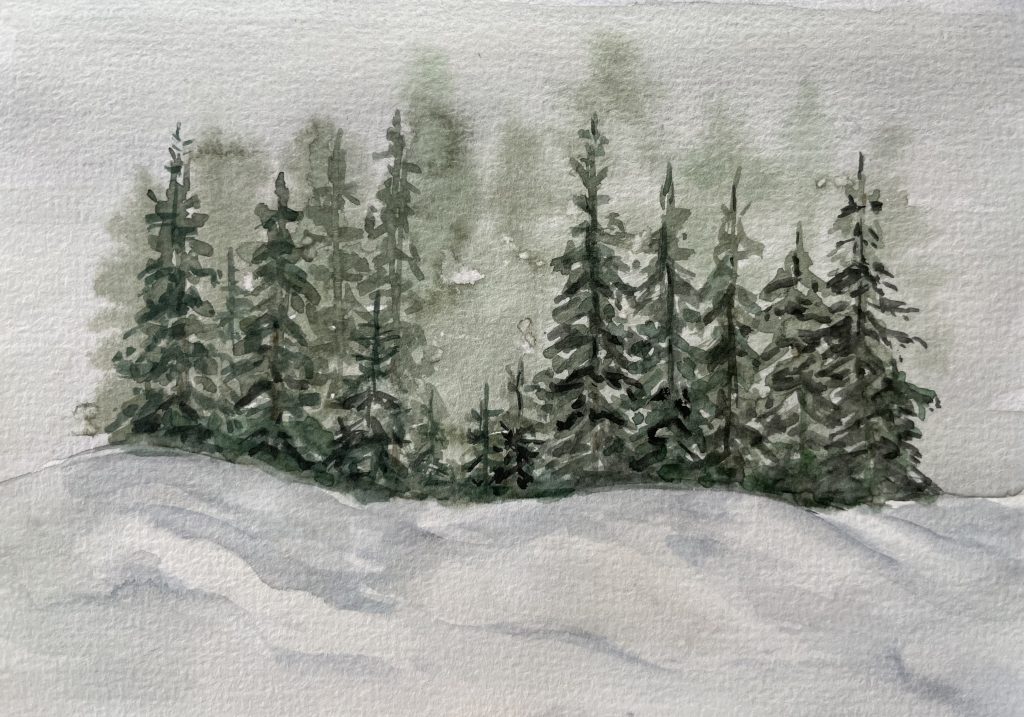 Winterlandschaft, Tannenwald im Schnee