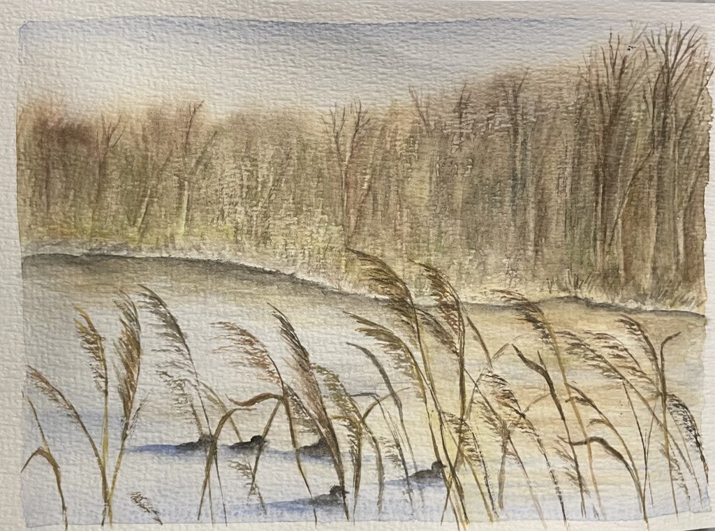 Strandbild enten im See
